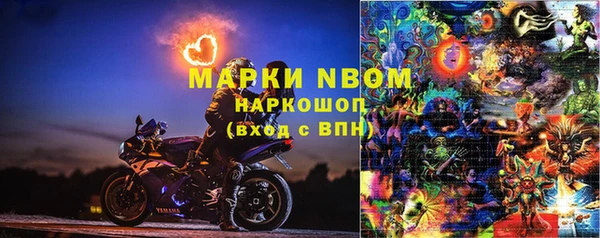 прущий лед Бородино