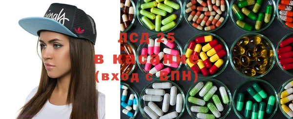 мдпв Верея