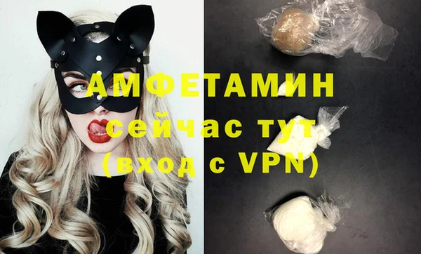 мдпв Верея