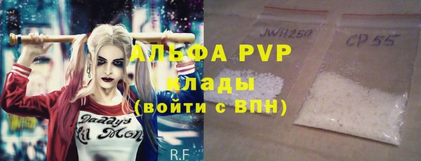 прущий лед Бородино